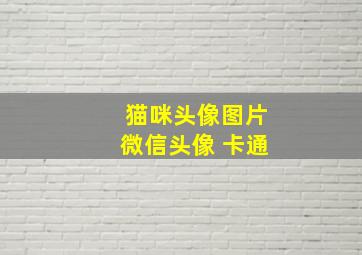 猫咪头像图片微信头像 卡通